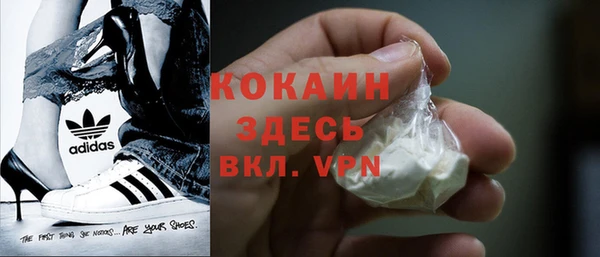 стаф Покачи