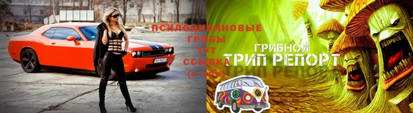первитин Белокуриха