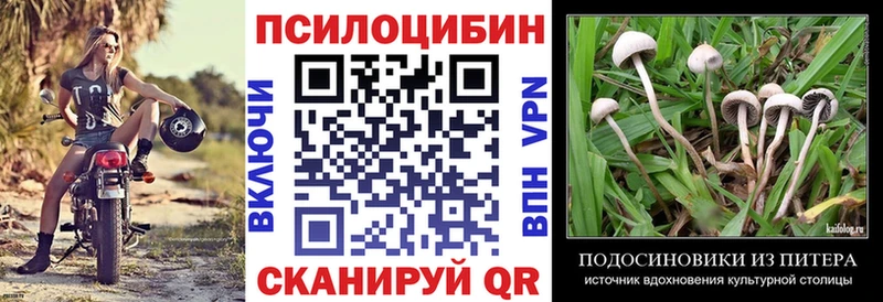 Псилоцибиновые грибы Psilocybine cubensis  Никольское 